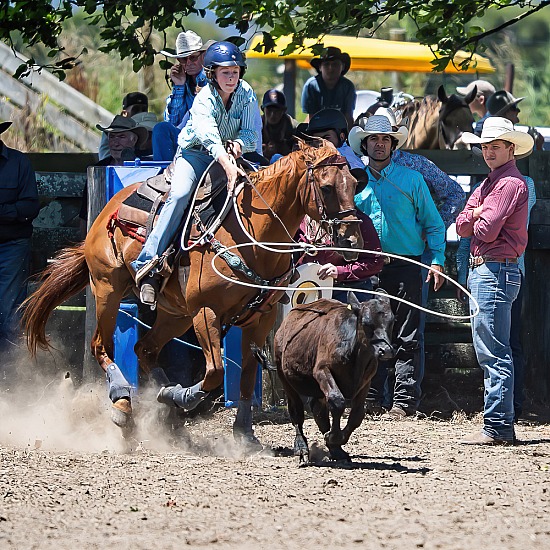 BREAKAWAY ROPING