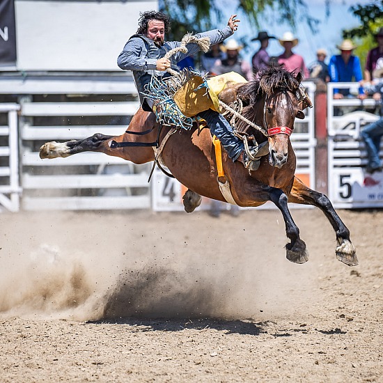 2ND DIVI SADDLE BRONC