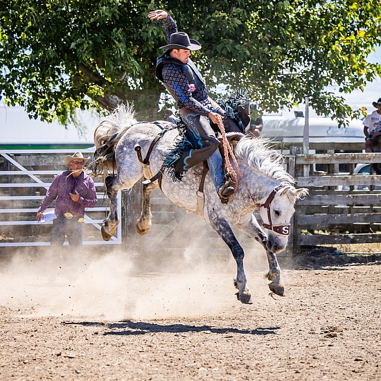 SADDLE BRONC