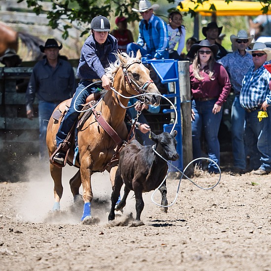 JUNIOR BREAKAWAY ROPING