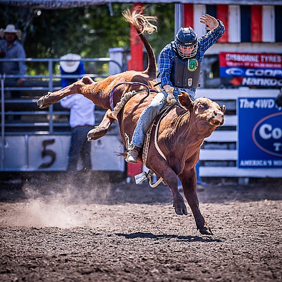 2ND DIVI BULL RIDE