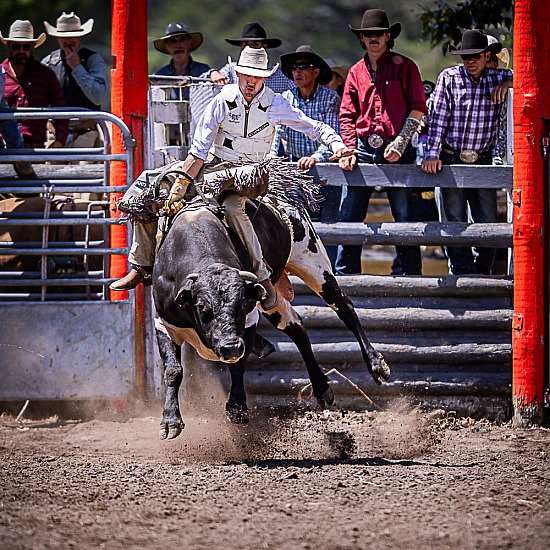 BULL RIDE