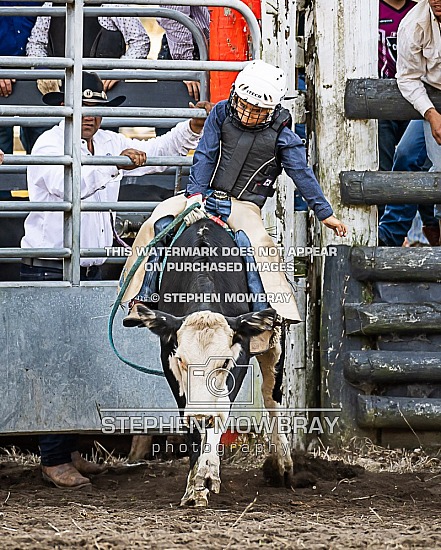 JUNIOR STEER RIDE