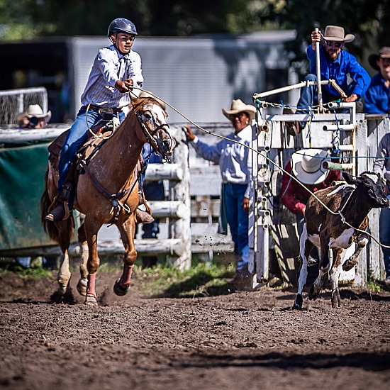 JUNIOR BREAKAWAY ROPING