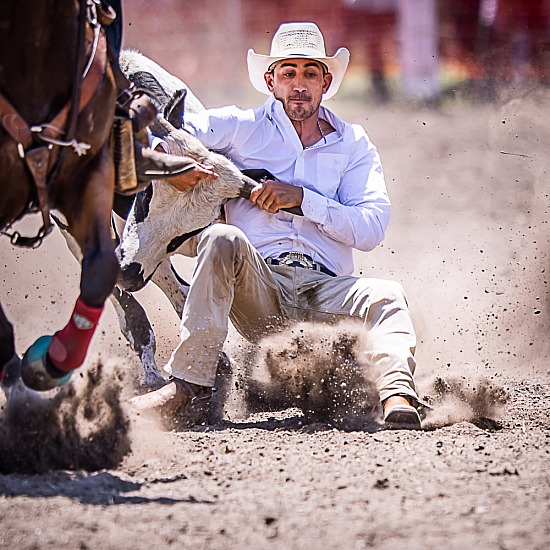STEER WRESTLING
