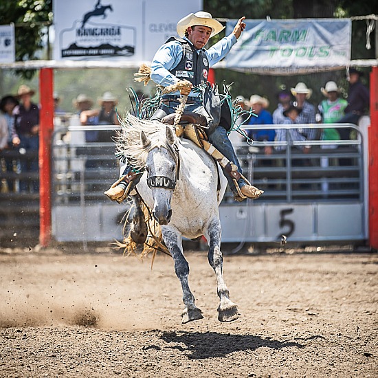 SADDLE BRONC
