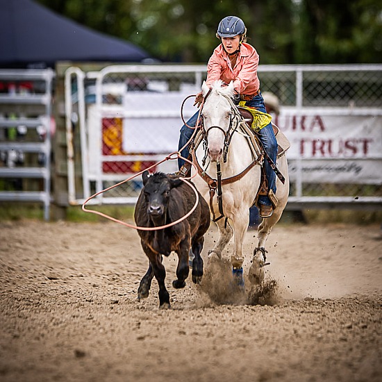 JUNIOR BREAKAWAY ROPING