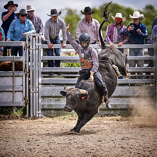 2ND DIVI BULL RIDE