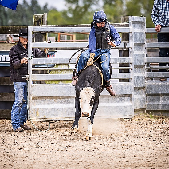 JUNIOR STEER RIDE