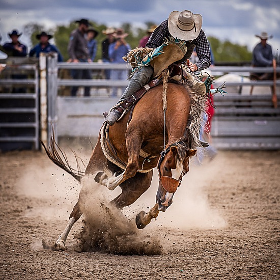 SADDLE BRONC