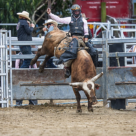BULL RIDE