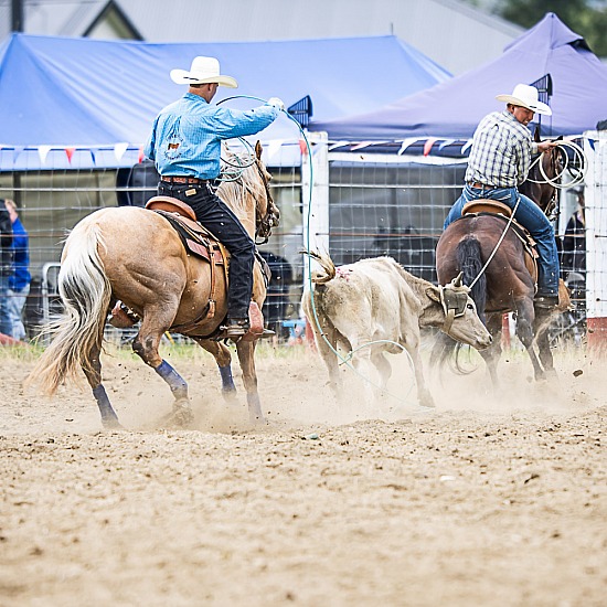 TEAM ROPING