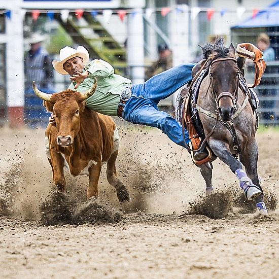 STEER WRESTLING