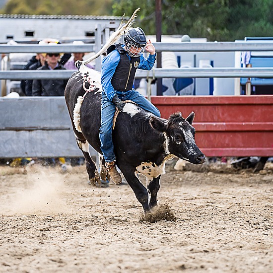 JUNIOR STEER RIDE