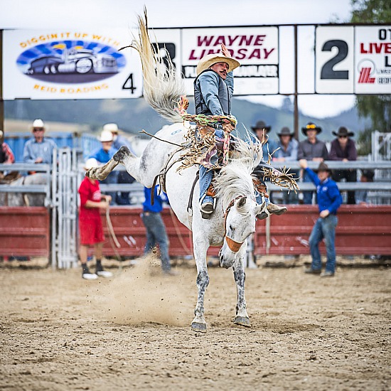 SADDLE BRONC