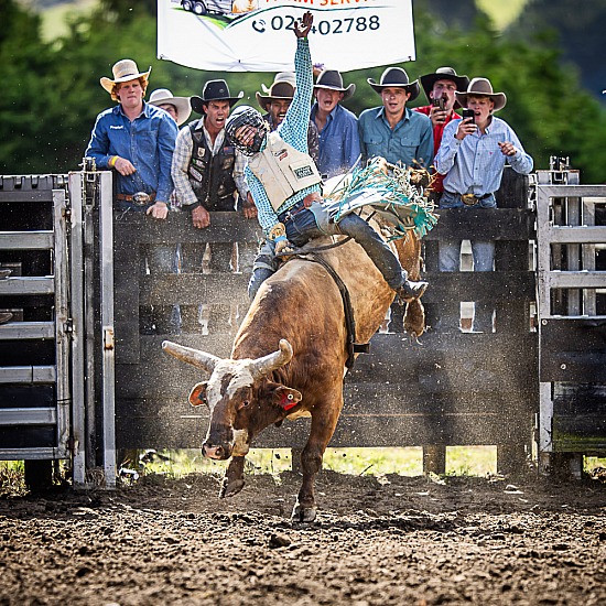 BULL RIDE