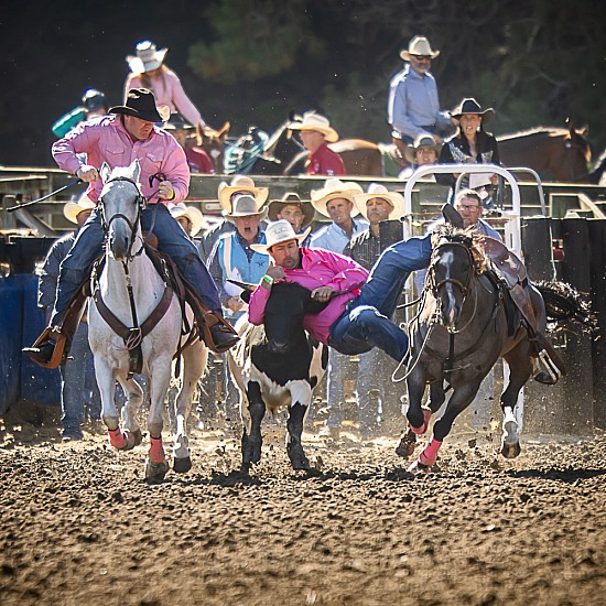 STEER WRESTLING