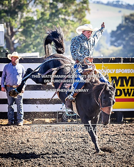 SADDLE BRONC