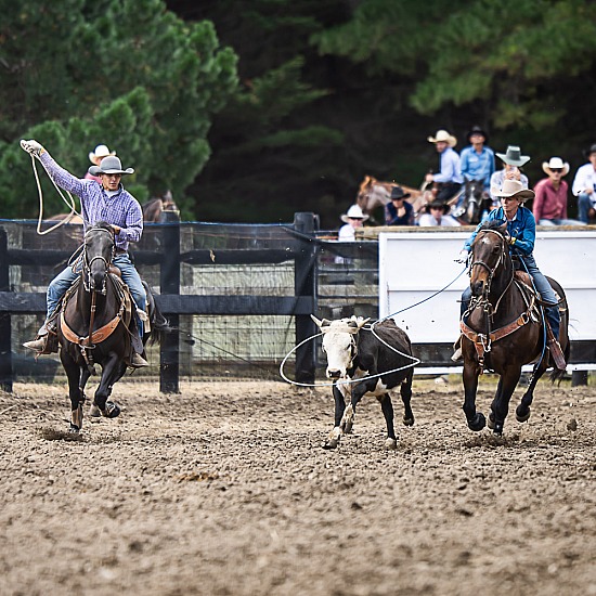 TEAM ROPING