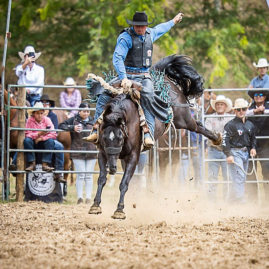 SADDLE BRONC