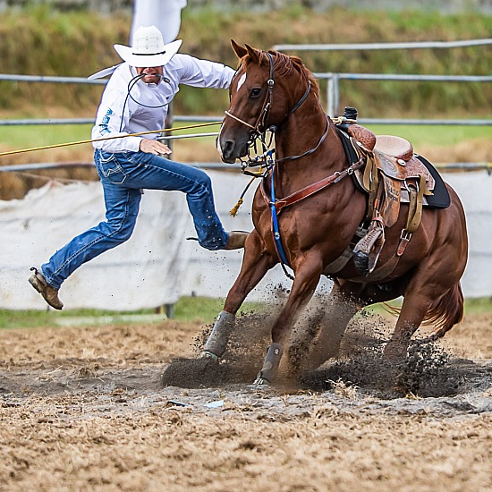URENUI RODEO 2026
