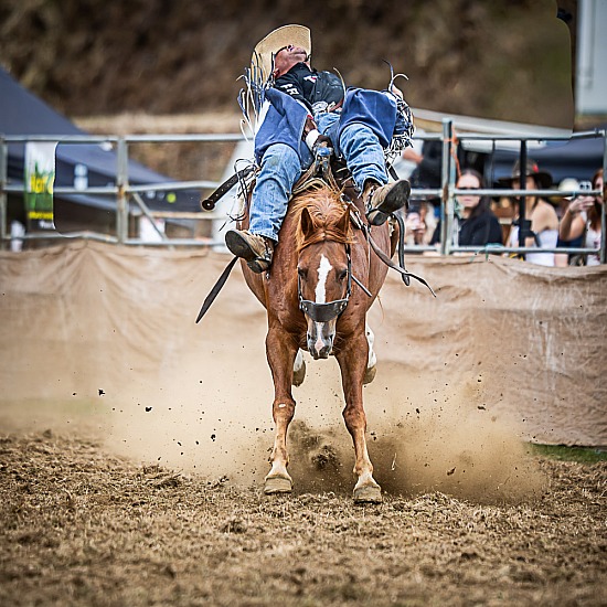 BAREBACK