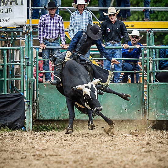 BULL RIDE