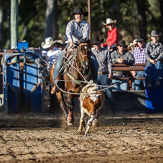 BREAKAWAY ROPING