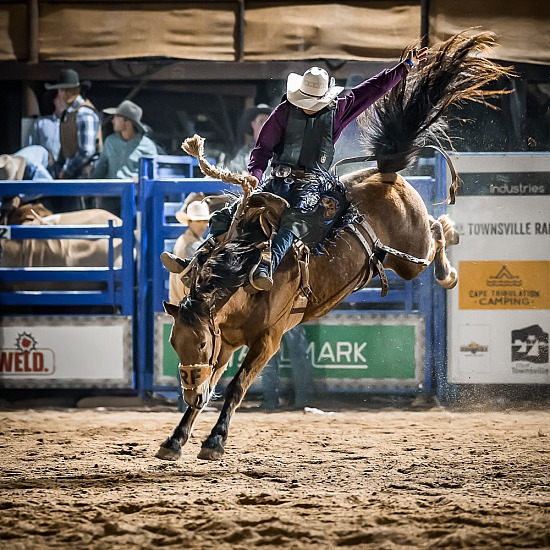 SADDLE BRONC