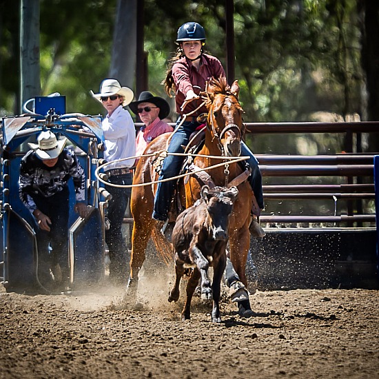 JUNIOR BREAKAWAY ROPING