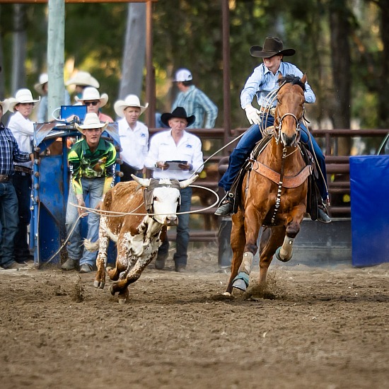 TEAM ROPING