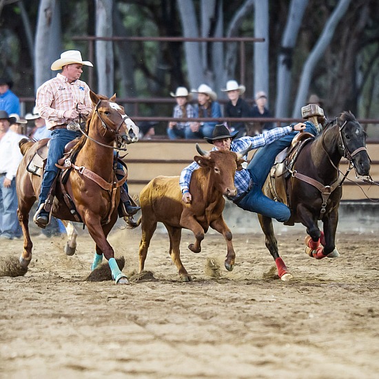 STEER WRESTLING