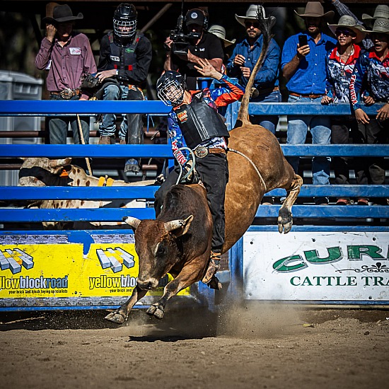 JUNIOR BULL RIDE