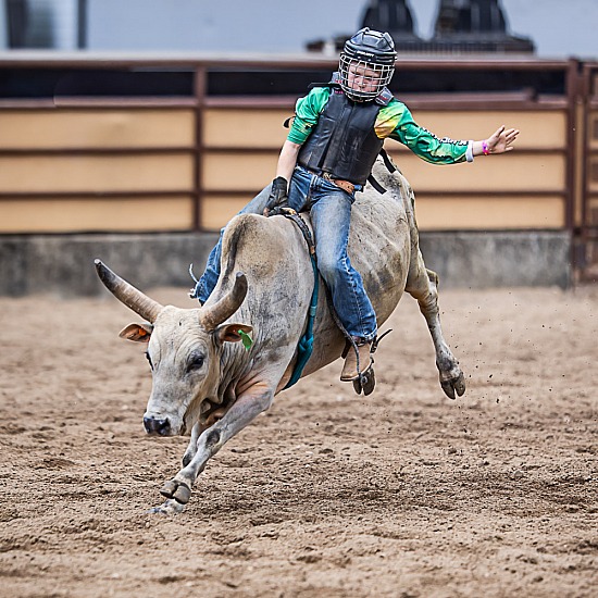 8-U11 MINI BULL RIDE