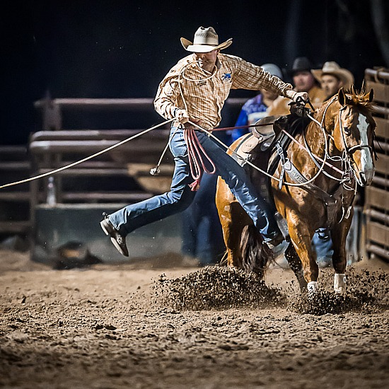 NQ ELITE RODEO 2026