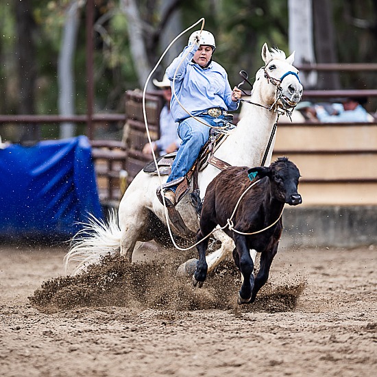 JUNIOR BREAKAWAY ROPING