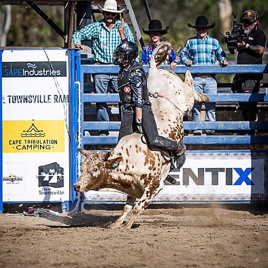 JUNIOR BULL RIDE