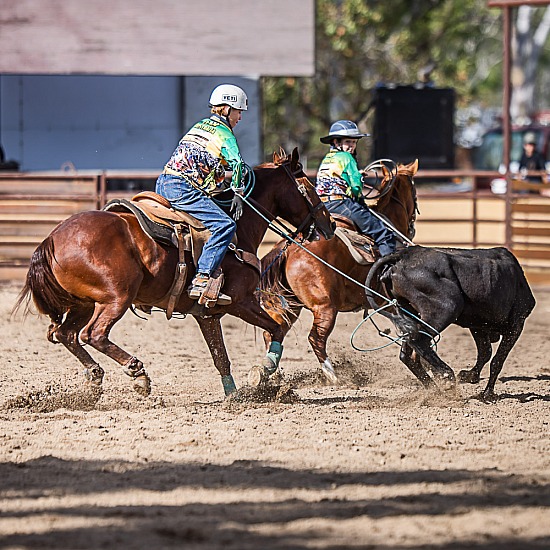 JUNIOR TEAM ROPING