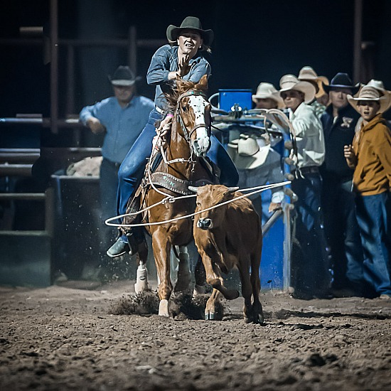 BREAKAWAY ROPING