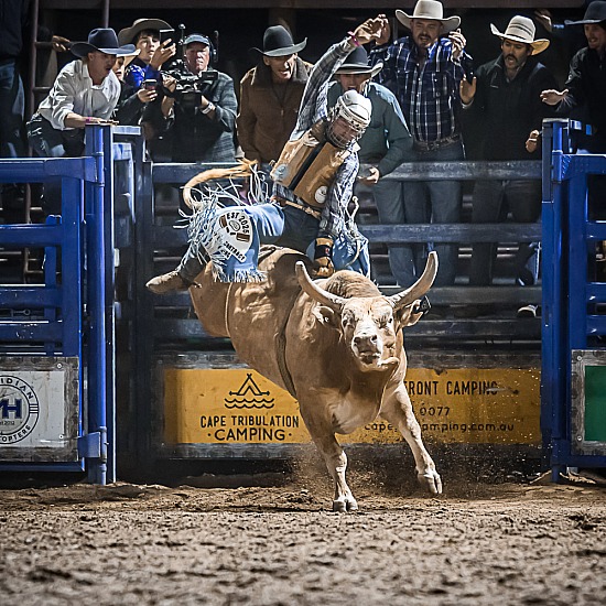BULL RIDE