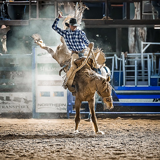 SADDLE BRONC