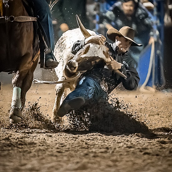 STEER WRESTLING